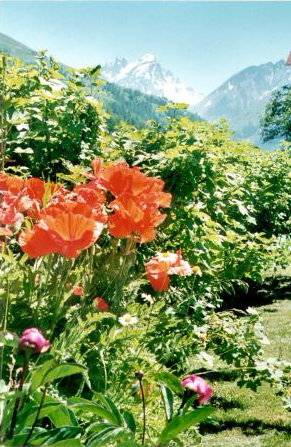 jardin aux verneys 